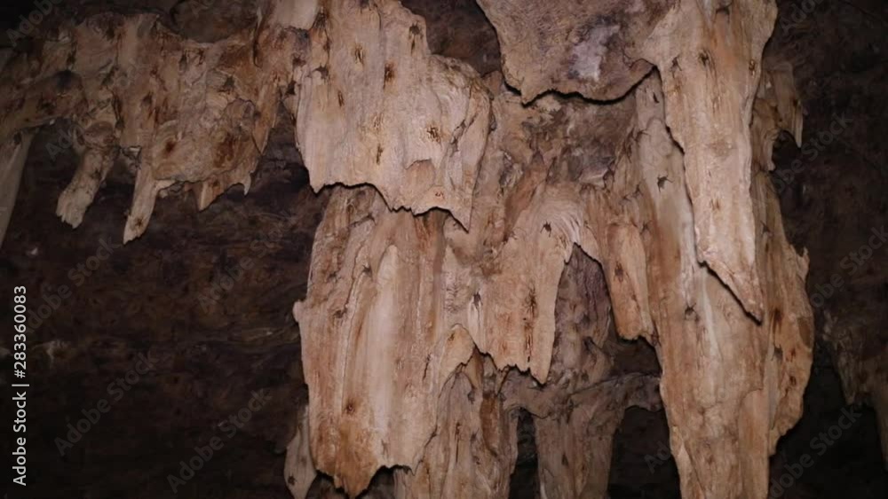 Thousands of bats hanging on walls in Gcwihaba caves in Botswana Thousands of bats hanging on walls in Gcwihaba caves in Botswana