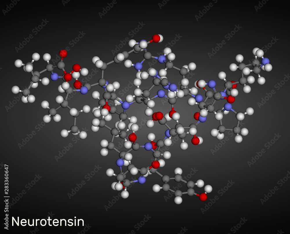 Neurotensin, 13 amino neuropeptide molecule. Ball-and-stick model Neurotensin, 13 amino neuropeptide molecule. Ball-and-stick model