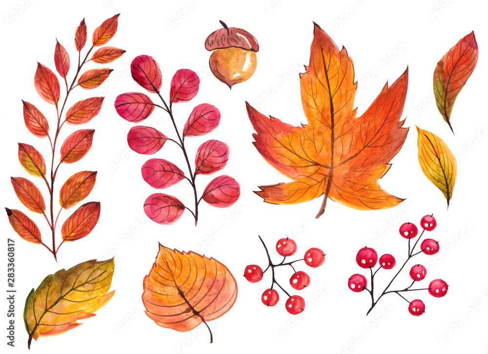 set of watercolor handpainted autumn leaves, isolated on white background. best for haloween, thanksgiving day design invitations.