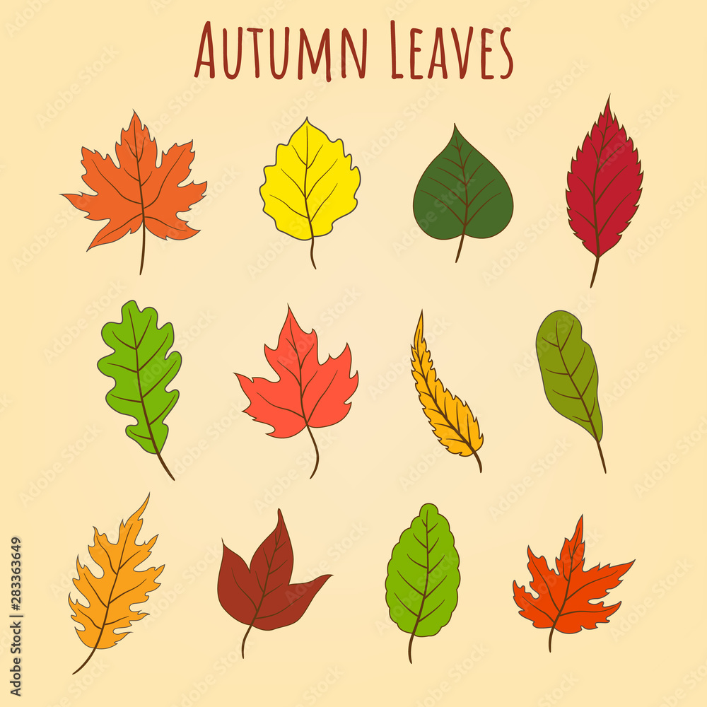 Mix autumn leaves element for decorate artwork in autumnal season vector flat style illustration Mix autumn leaves element for decorate artwork in autumnal season vector flat style illustration