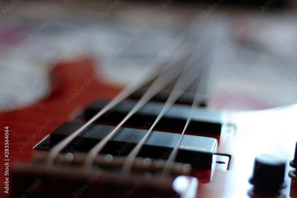 Bass-guitar at the photo shoot Bass-guitar at the photo shoot