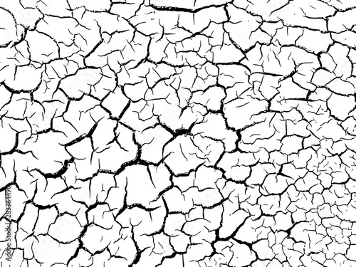 The cracks texture white and black. Vector background.Cracked earth. Structure of cracking. Cracks in dry surface soil texture. shards