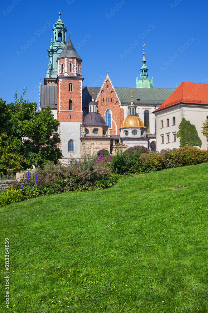 Obraz Wawel Cathedral in City of Krakow