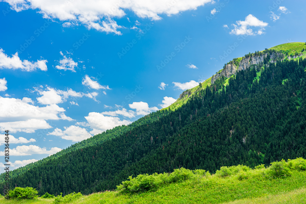 Naklejka premium Beautiful summer landscape in Savsat, Artvin province, Turkey