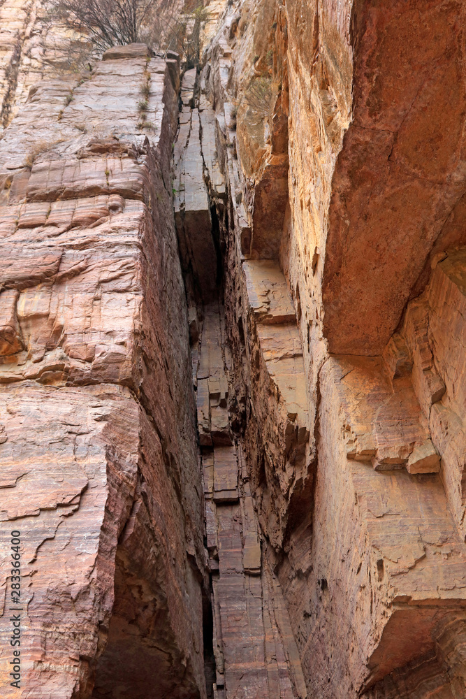 Canyon fissure in the wild