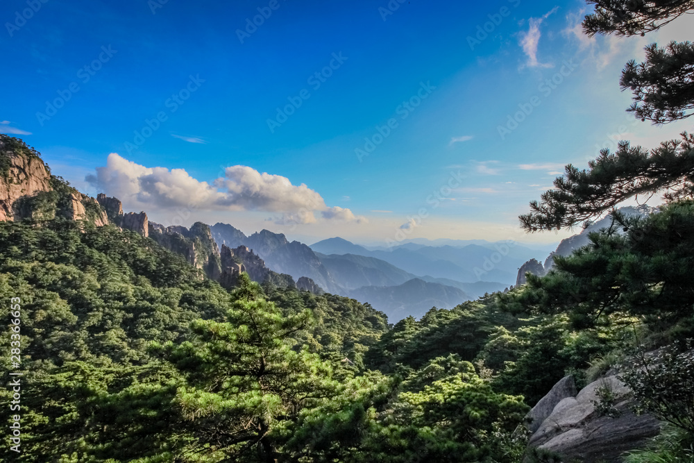 Pine trees dominate the foreground with mountain ranges fading into the horizon with bright blue skies and clouds in Huang Shan (黄山, Yellow Mountains) China