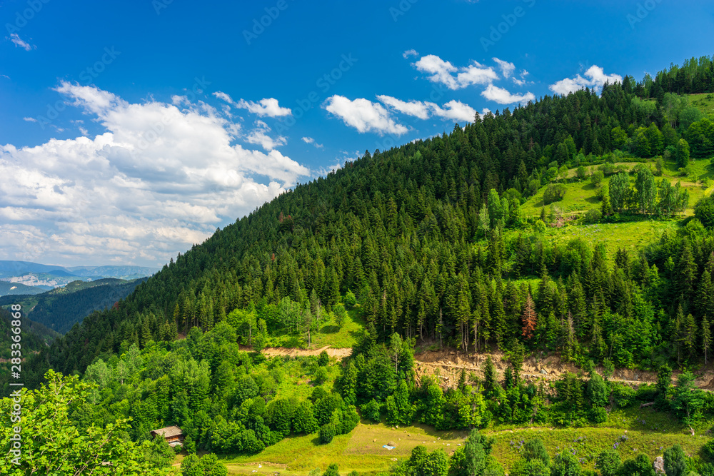Fototapeta premium Beautiful summer landscape in Savsat, Artvin province, Turkey