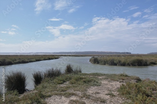 Maroc  canal dans la lagune de Mouley Bousselham