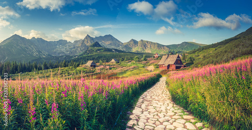 Fototapeta Naklejka Na Ścianę i Meble -  mountain landscape, Tatra mountains panorama, Poland colorful flowers and cottages in Gasienicowa valley (Hala Gasienicowa), summer