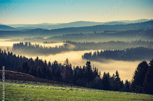 Fototapeta Naklejka Na Ścianę i Meble -  Morning in the misty Carpathian mountains, spring, Poland