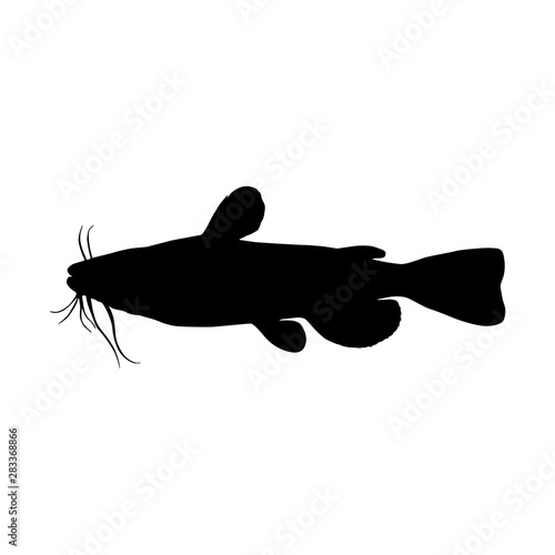 Catfish (Siluriformes), Silhouette Style, Found In Freshwater Habitats Around The World Exception Of Antarctica