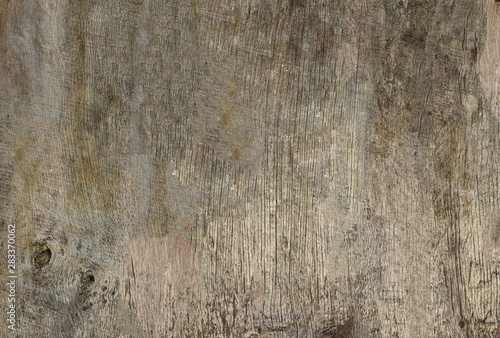 Wallpaper Mural Old wooden texture. Background of weathered boards. Torontodigital.ca