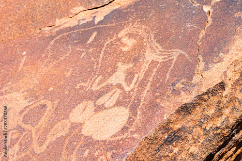 6000 year old rock carvings of animals at Twyfelfontein, Namibia