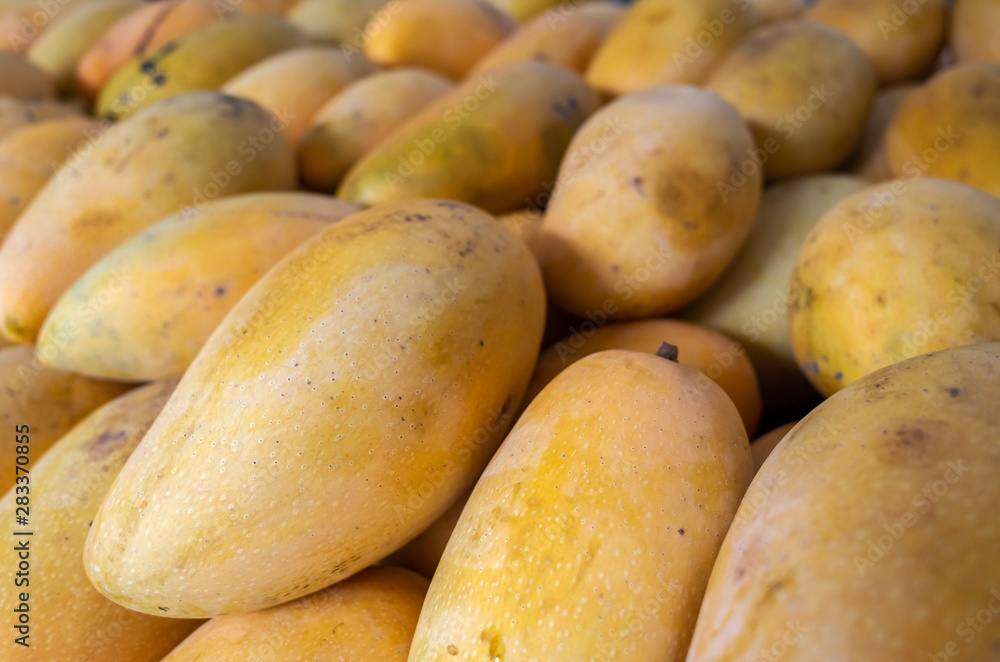 yellow stacks of mango fruits