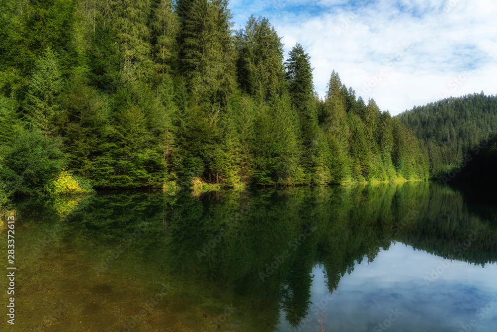 Kinzig drinking water reservoir in the northern Black Forest, the famous coniferous forest in Baden-Wuerttemberg, Germany Kinzig drinking water reservoir in the northern Black Forest, the famous coniferous forest in Baden-Wuerttemberg, Germany