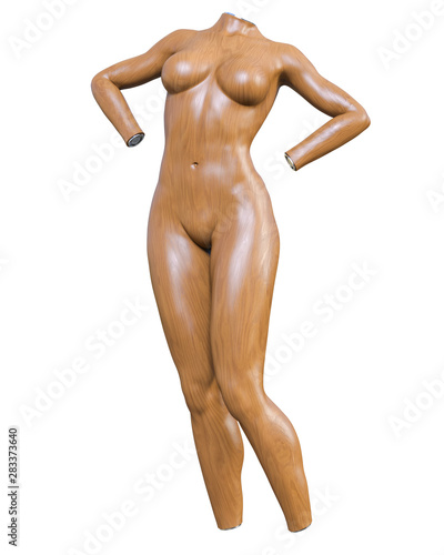 Female mannequin. Torso