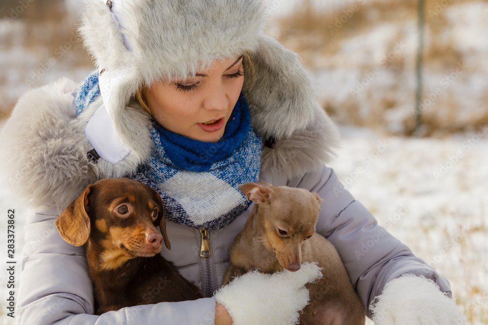 Woman playing with dogs during winter Woman playing with dogs during winter