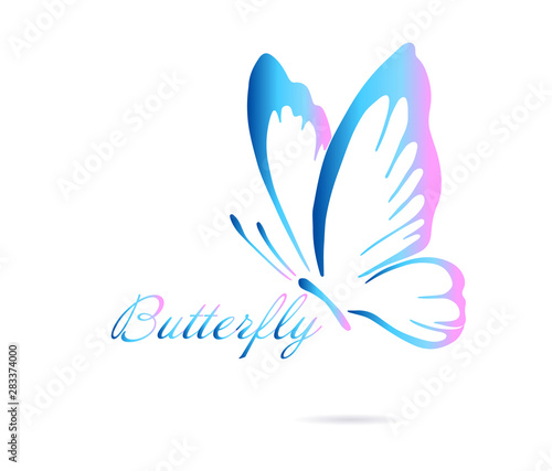 A butterfly logo made of patterns. Vector illustration