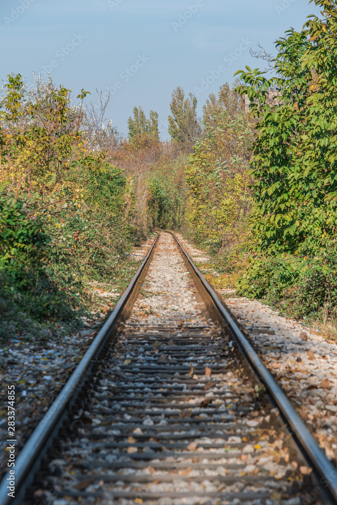A railway through forest in autumn