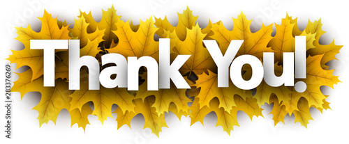 Autumn thank you sign with yellow maple leaves.