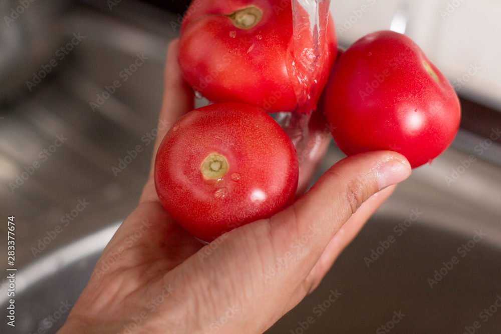 young woman washing tomato in a kitchen young woman washing tomato in a kitchen