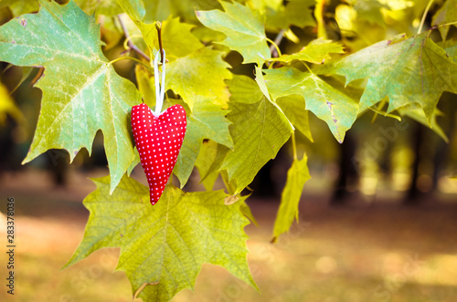 red decorative heart in tree branh photo