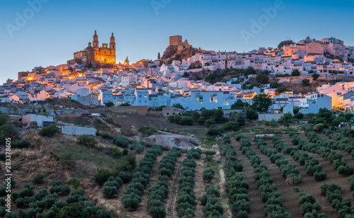 Panoramic sight at sunset in the beautiful Olvera, province of Cadiz, Andalusia, Spain. photo