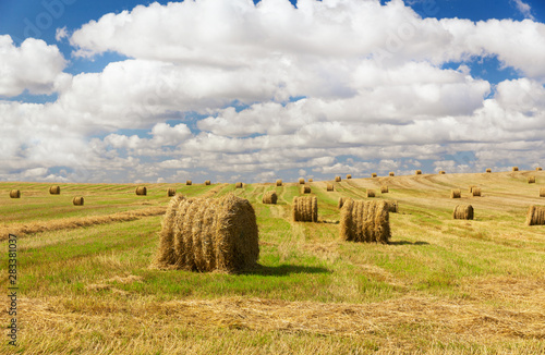Hay bale field after harvest