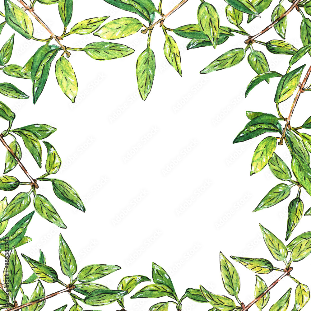 Fototapeta premium watercolor drawing. tree branches, frame, basis for records