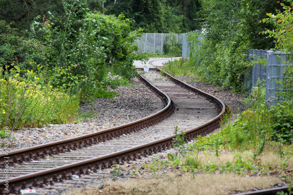 Fototapeta premium old rails with trees in background