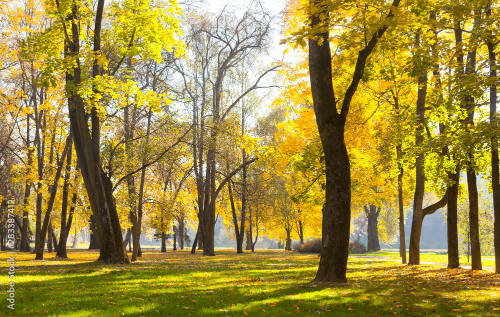 Beautiful Nature Autumn landscape on Sunny day