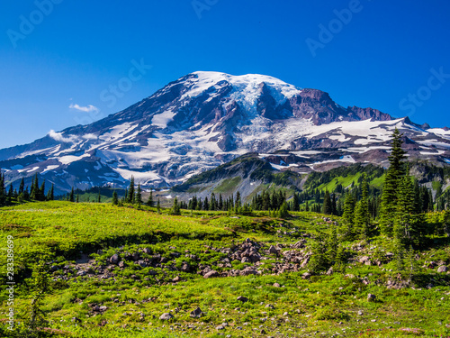 View of Mount Rainier from Paradise