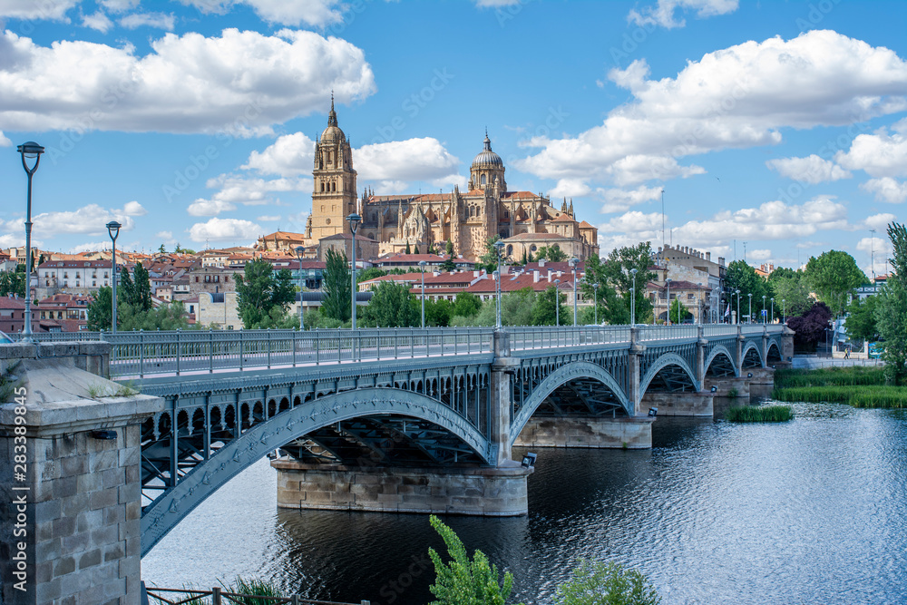 Panorama of the Old City of Salamanca, UNESCO World Heritage
