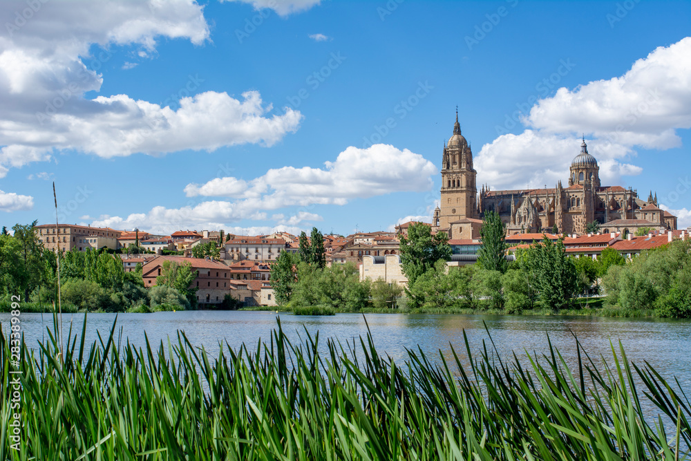 Obraz premium Salamanca Old and New Cathedrales reflected on Tormes River, Spain