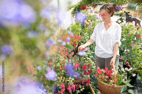 Happy casual woman with basket of fresh flowers looking at new sorts of petunias