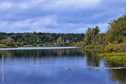 landscape with a lake on a background of trees