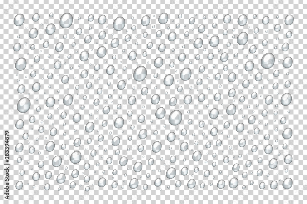 Vector set of realistic isolated water droplets for template decoration and covering on the transparent background.