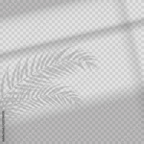 Transparent shadow overlay effect. Tropic leaf and window blind. Photo-realistic illustration with palm leaves.