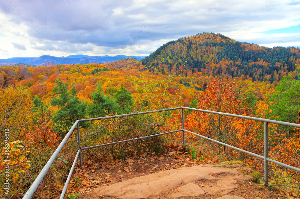 Fototapeta premium Pfälzer Wald im Herbst - in Palatinate Forest in autumn