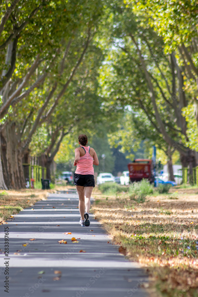 Joggerin im sommerlichen Outfit trainiert für einen Marathon oder Halbmarathon und läuft durch einen Allee im Sommer einen Fahrradweg entlang