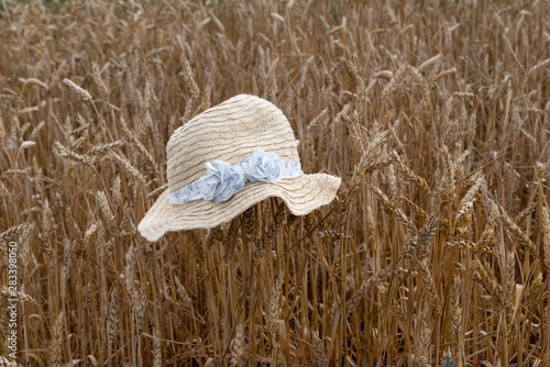 Straw hat with wheat ears on a gold field. Summer, nature and rural landscape. Harvest and whaet ears on a farm. Agriculture. photo