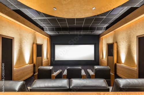 Valokuva Stunning stylish privat theater