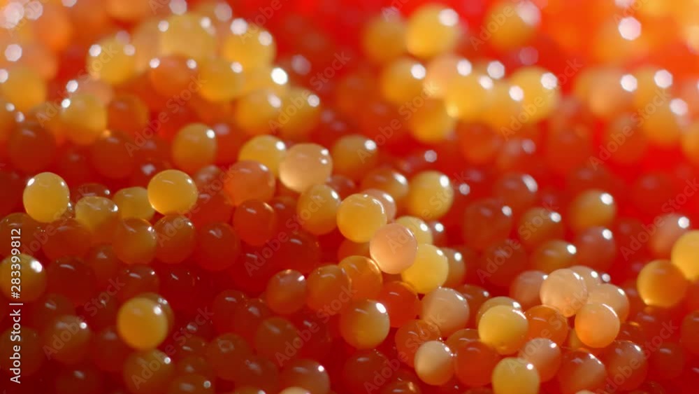 Red Caviar. Salmon fish eggs. Close-up. Trout Delicatessen. Texture of caviar. Seafood. Molecular cuisine 4K UHD video Red Caviar. Salmon fish eggs. Close-up. Trout Delicatessen. Texture of caviar. Seafood. Molecular cuisine 4K UHD video