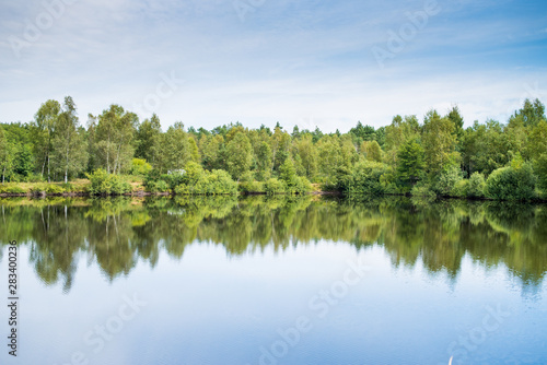 Fototapeta Naklejka Na Ścianę i Meble -  Beautiful wild forest lake in summer sunny day