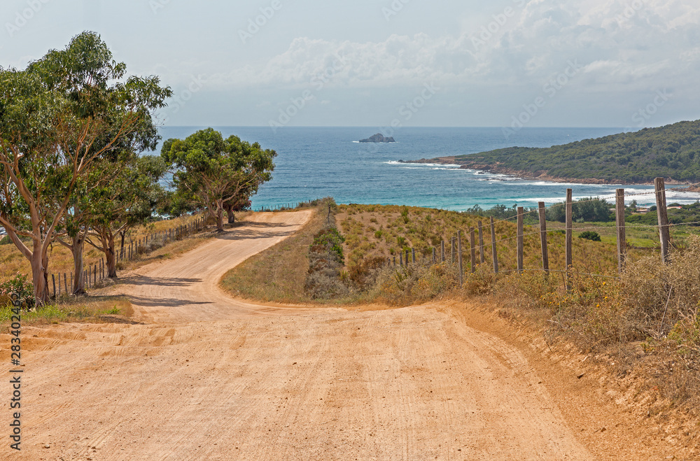 Road to Capo di Feno beach near Ajaccio, Corsica, France.