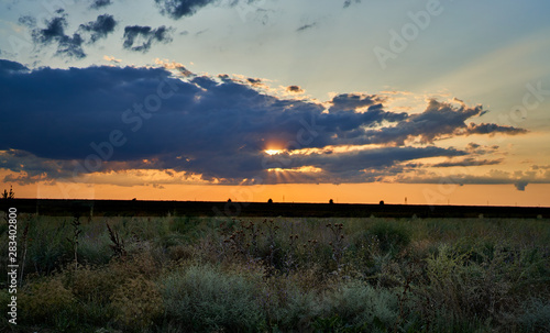 sunset in the steppe, rural landscape