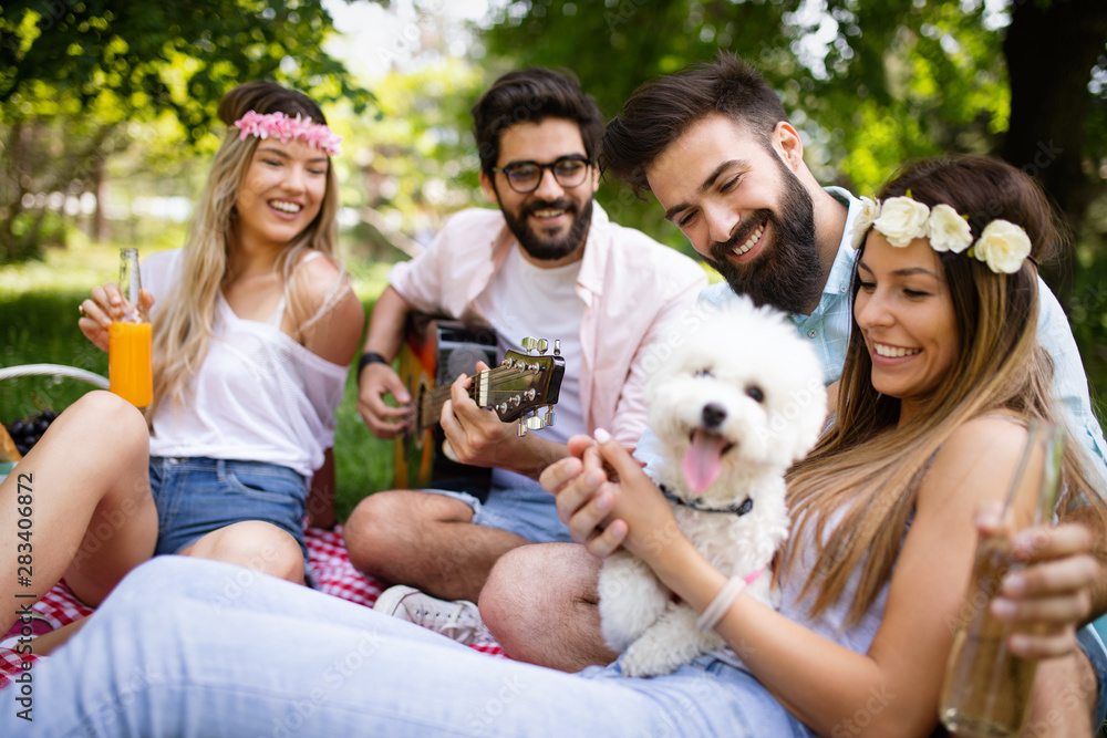 Summer, vacation, music and recreation time concept. Group of friends have picnic outdoor. Summer, vacation, music and recreation time concept. Group of friends have picnic outdoor.