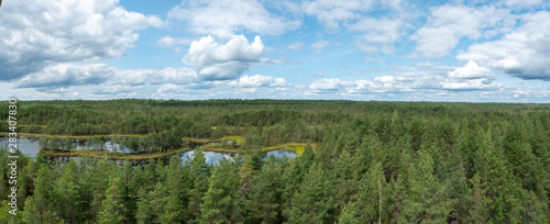 moor mukri estonia photo