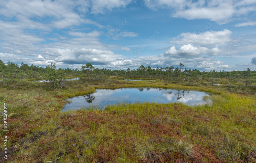 moor mukri estonia