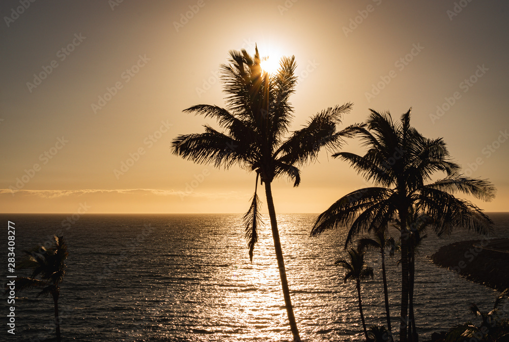 Sunset in paradise, beautiful ocean landscape with palm trees, golden hour